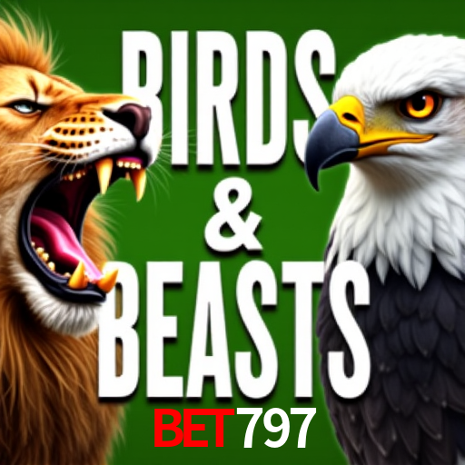 cassino Bet797